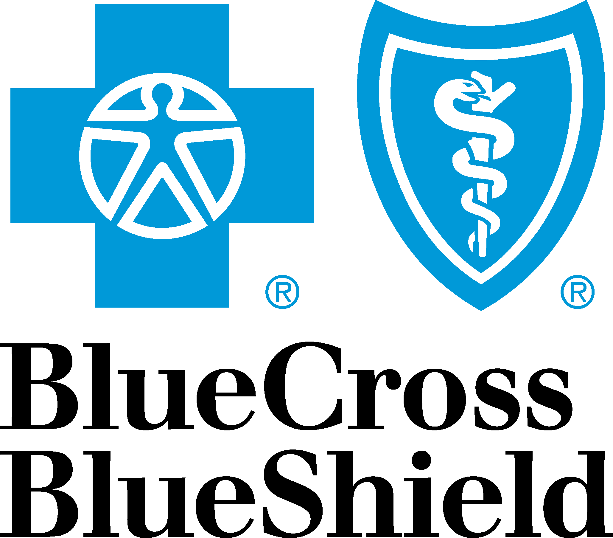 Blue Cross Blue Shield Logo